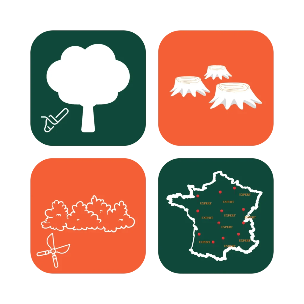Illustration des services de Elagage Expert